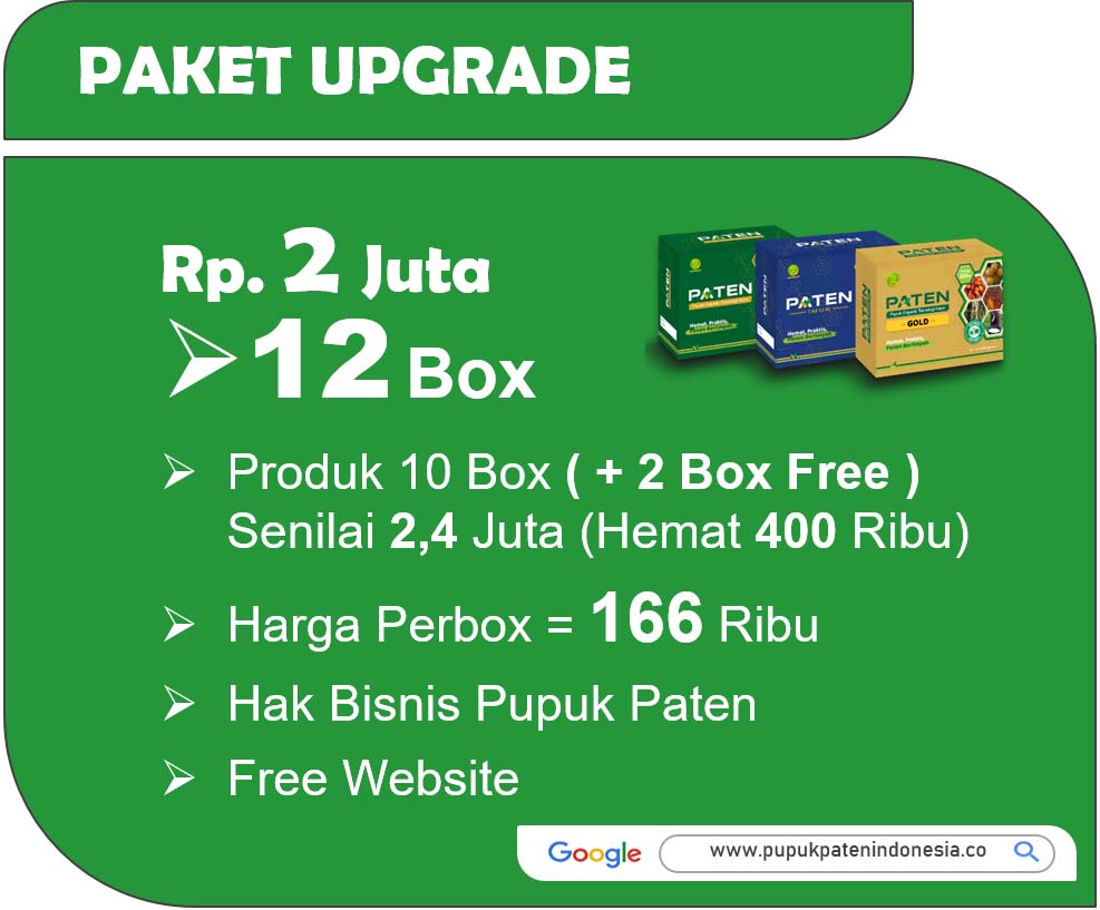 Paket D